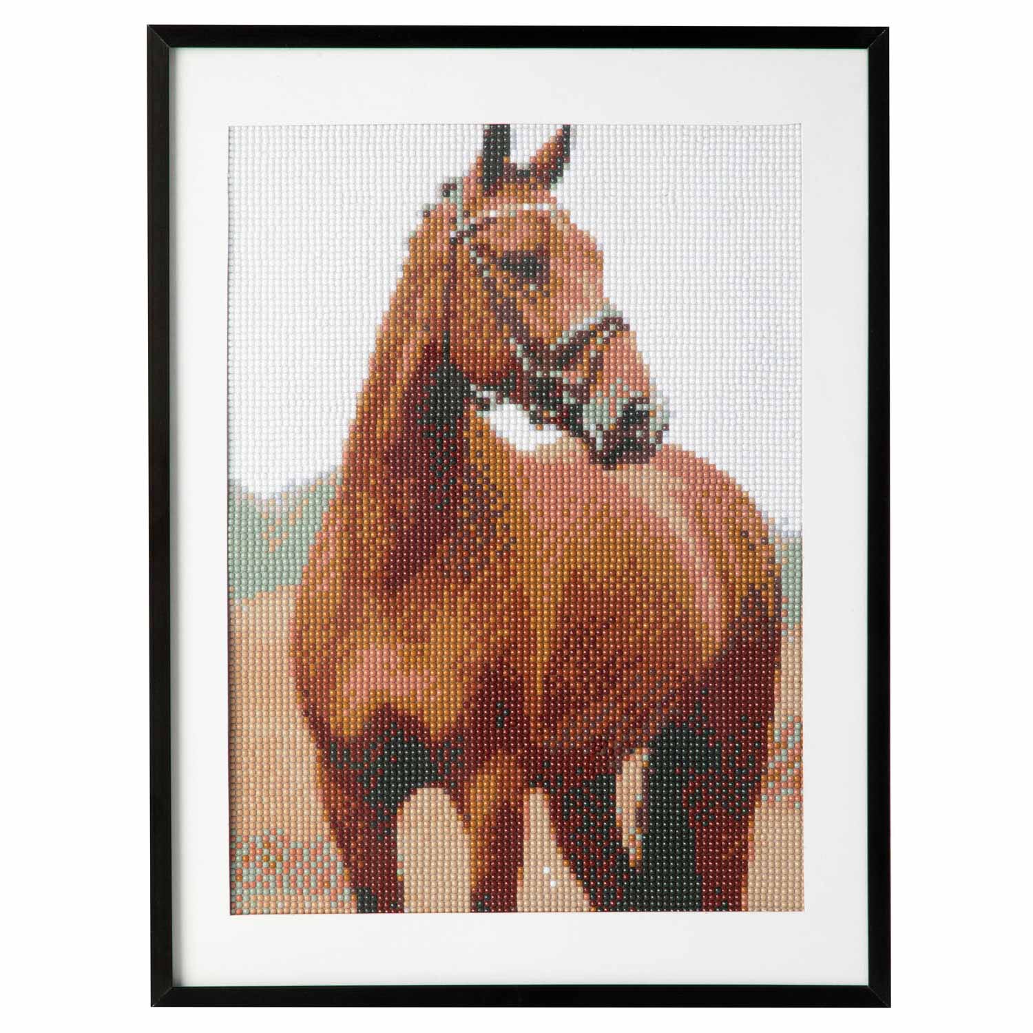 Diamond Painting - Paard, 30x40cm - Klik op de afbeelding om het venster te sluiten