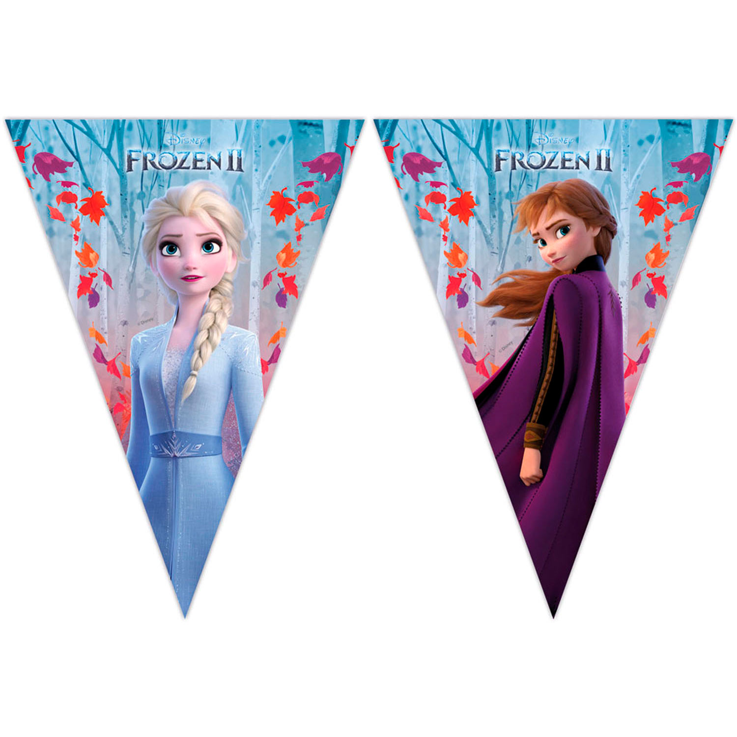 Disney Frozen 2 Vlaggenlijn, 2mtr. - Klik op de afbeelding om het venster te sluiten