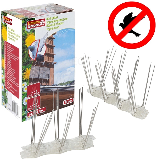 Vogelweringspinnen 10 stuks Vogelweringspinnen 10 stuks